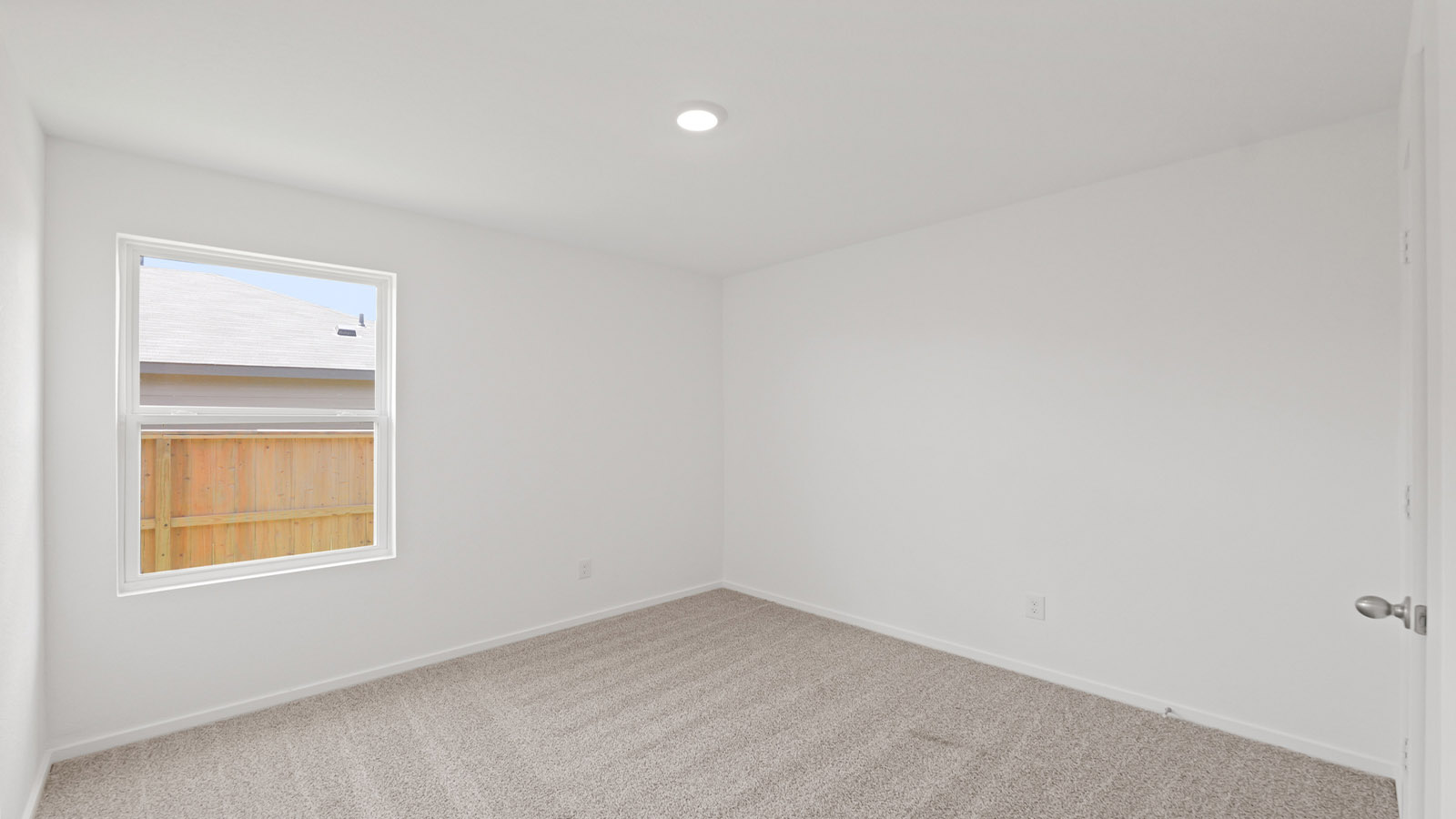 Secondary bedroom with shag carpet flooring and bright window