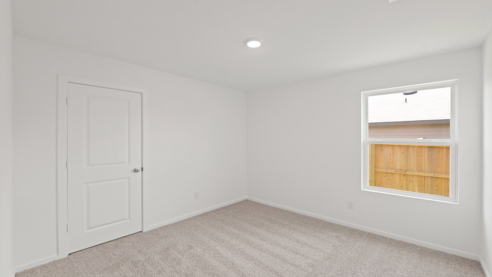 Secondary bedroom with shag carpet flooring and bright window