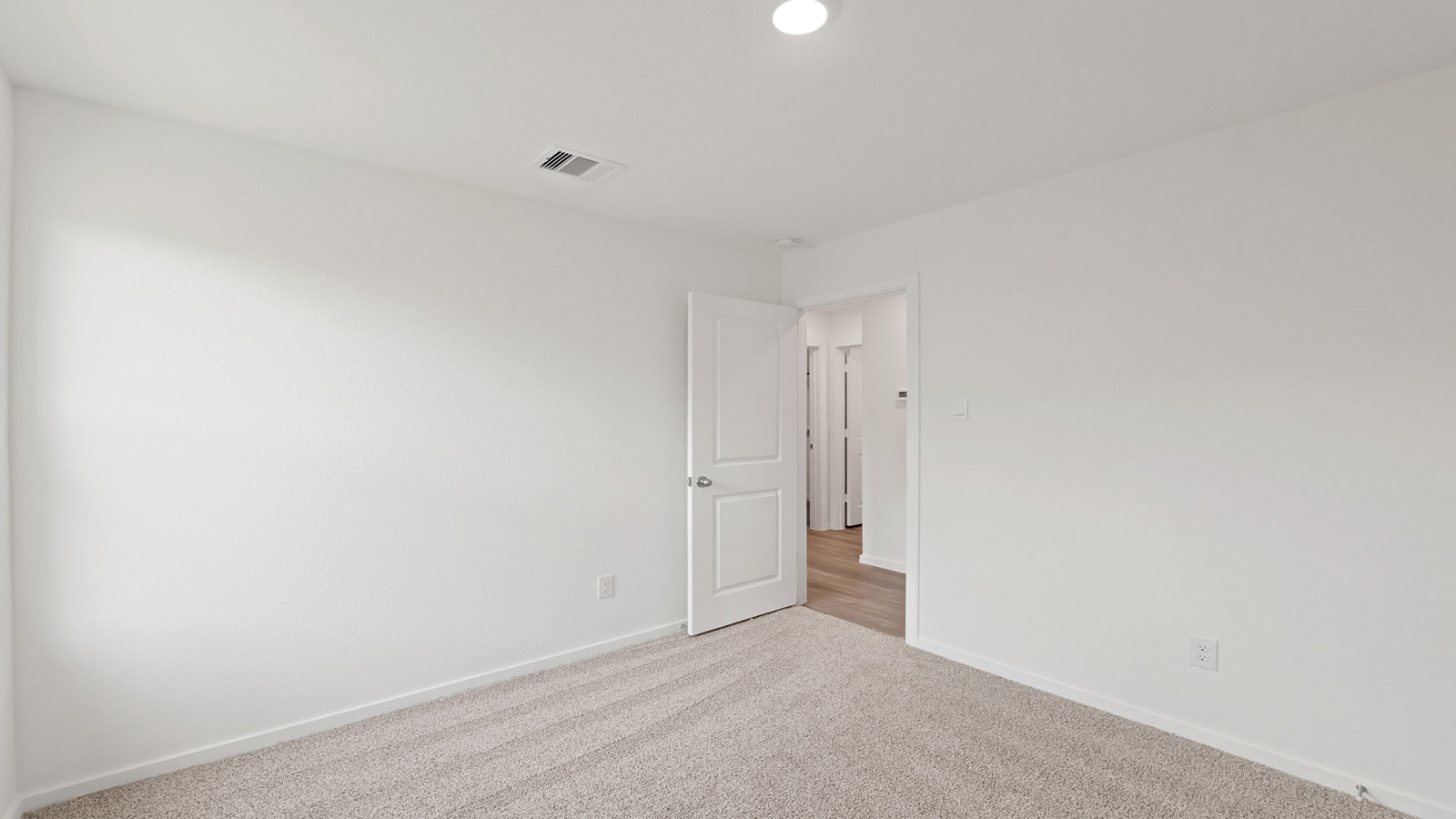 Secondary bedroom with shag carpet flooring and bright window