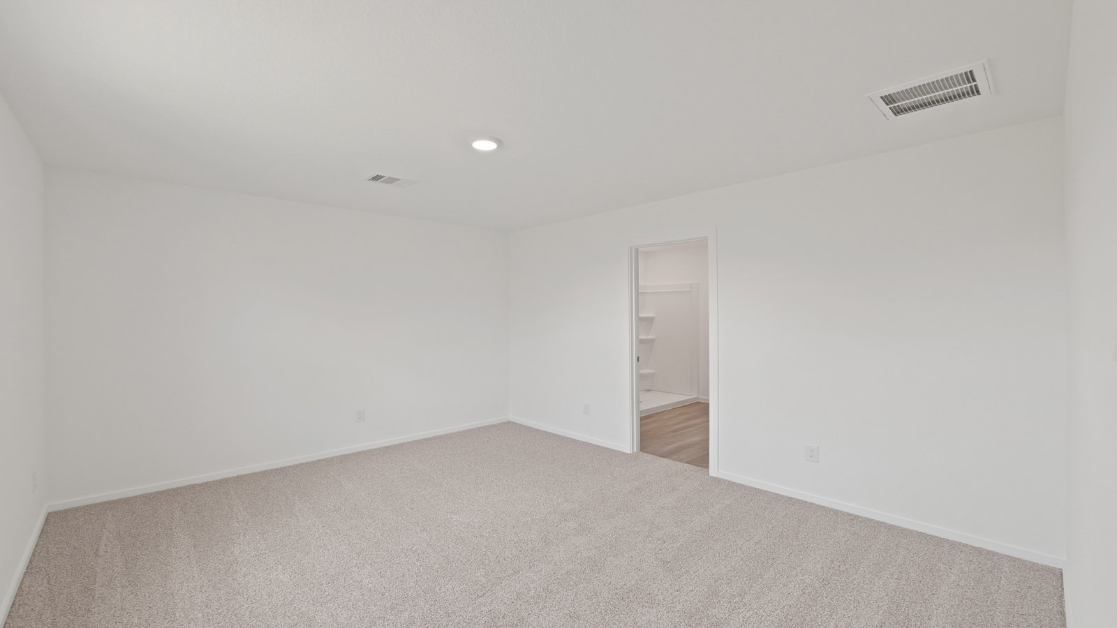 Large Primary bedroom with shag carpet flooring and bright window