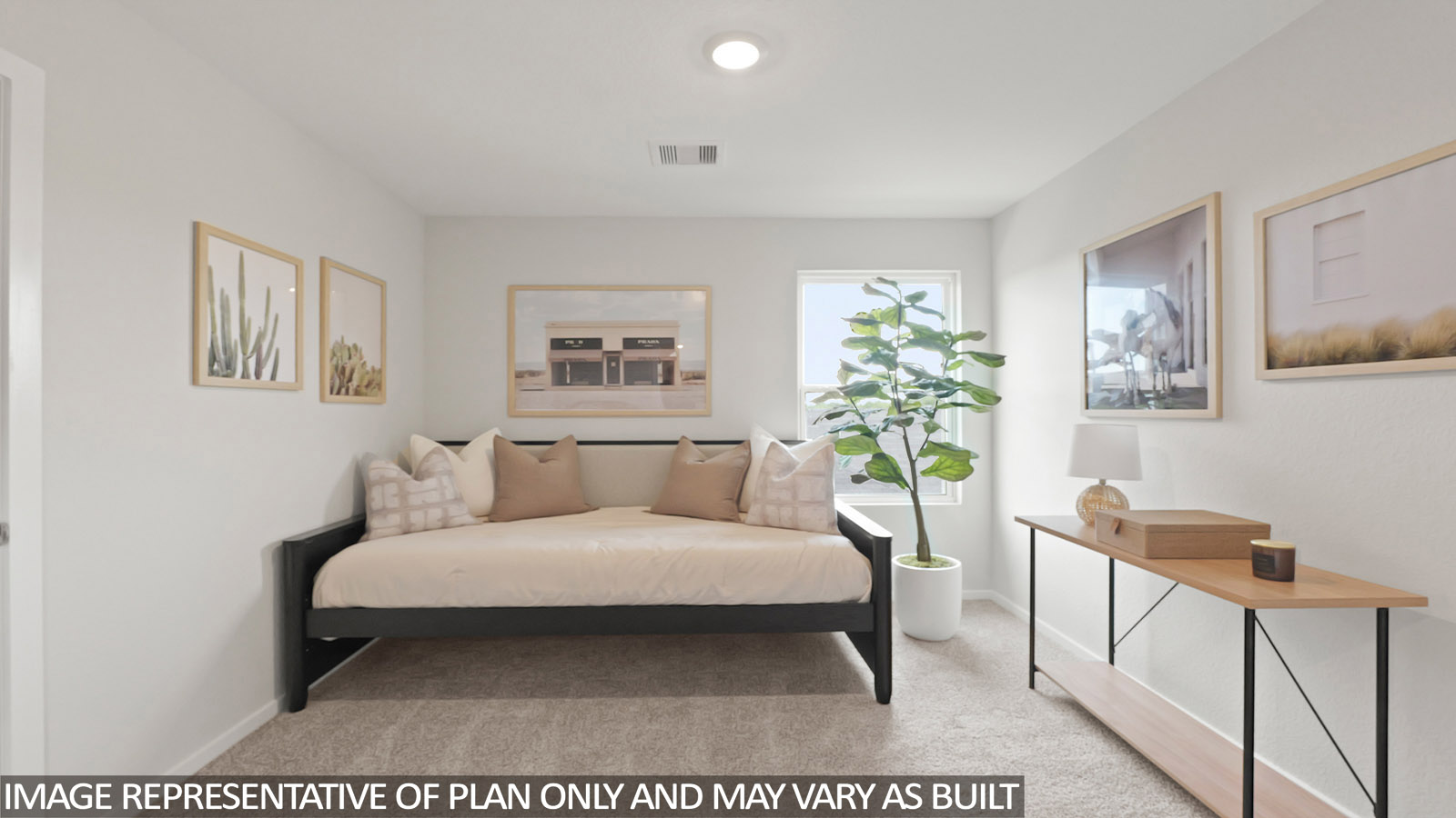 Secondary bedroom with shag carpet flooring and bright window