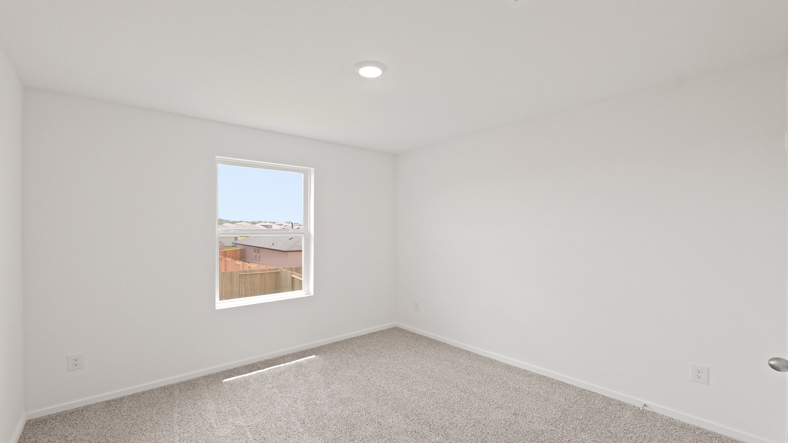 Secondary bedroom with shag carpet flooring and bright window
