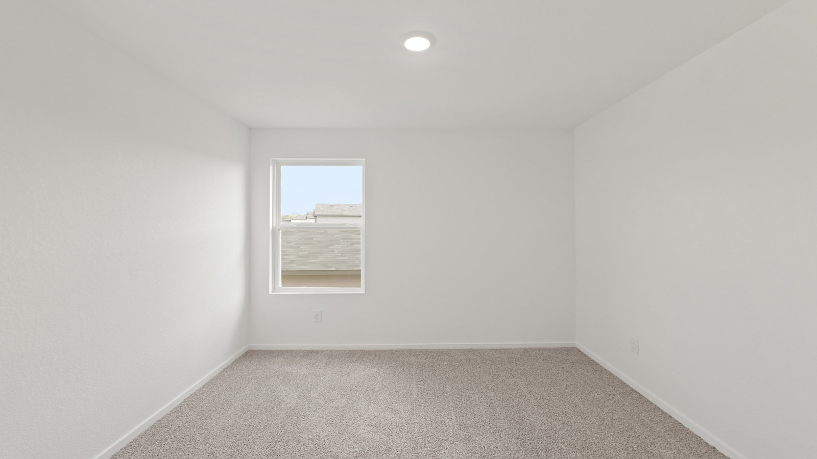 Secondary bedroom with shag carpet flooring and bright window