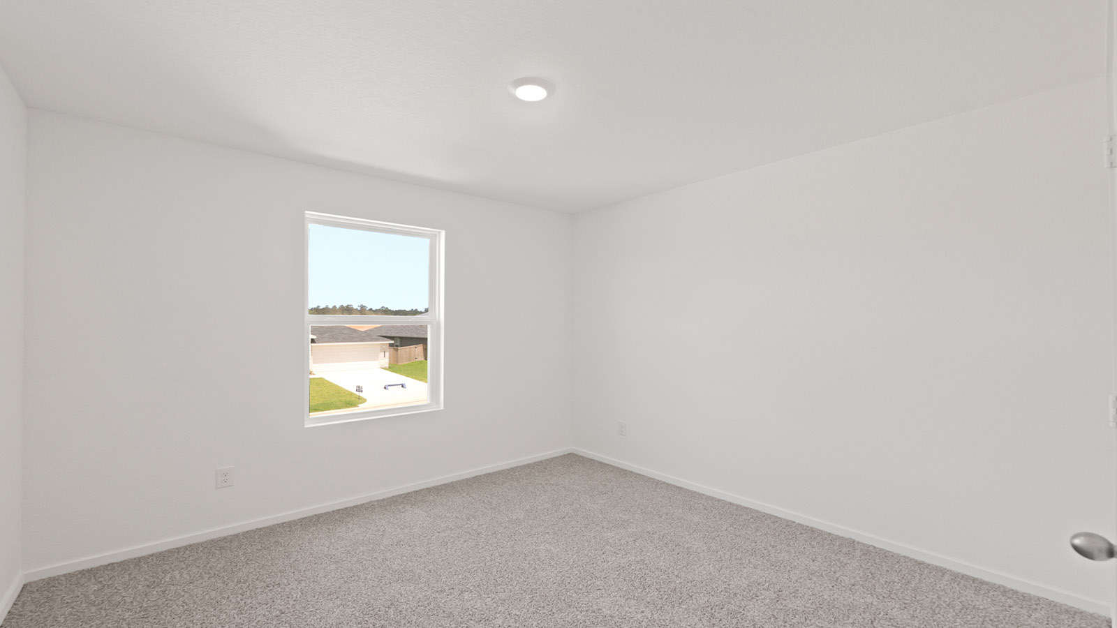 Secondary bedroom with shag carpet flooring and bright window