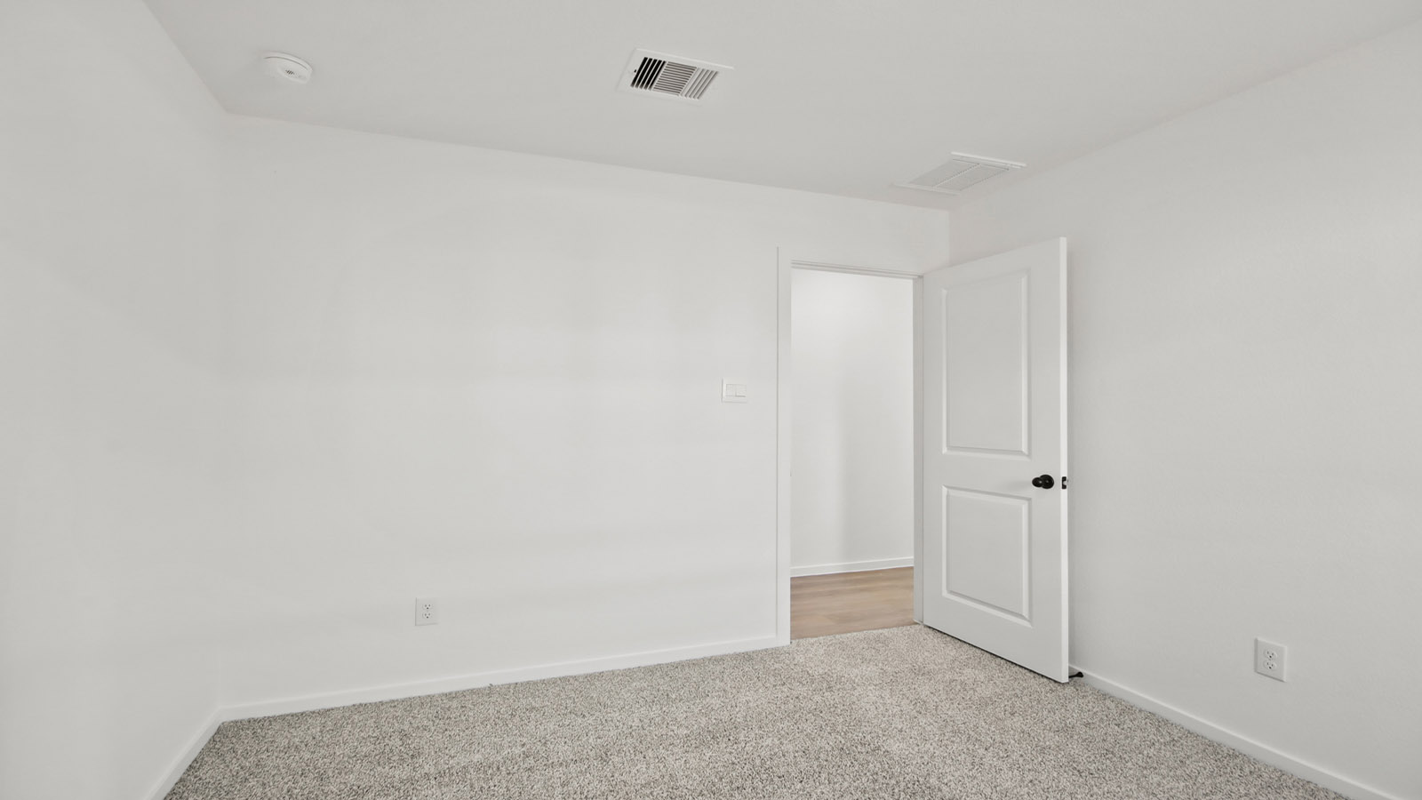 Secondary bedroom with shag carpet flooring and bright window