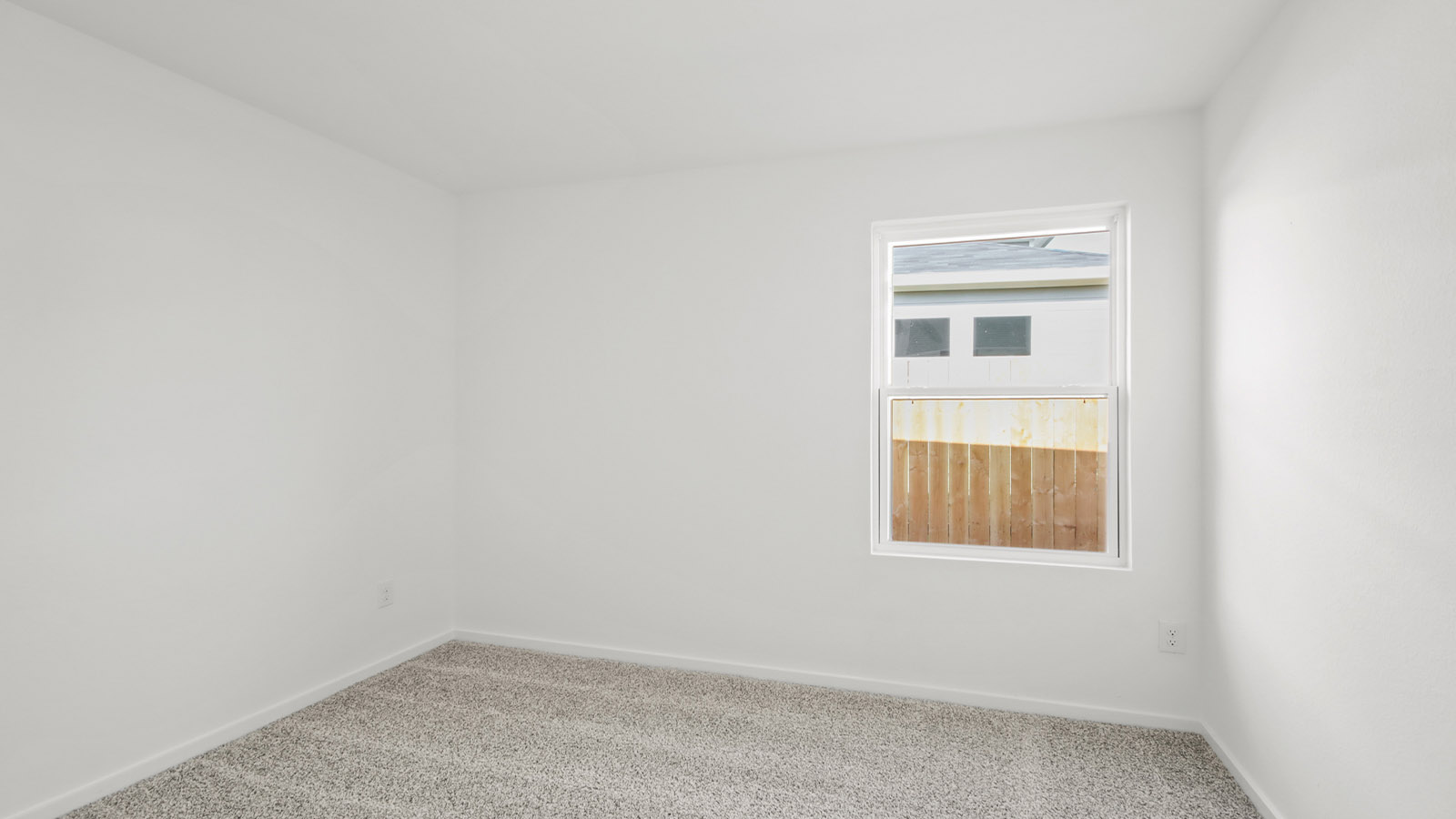 Secondary bedroom with shag carpet flooring and bright window
