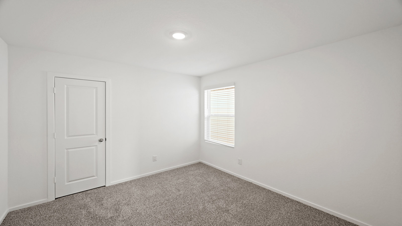 secondary bedroom with carpet flooring