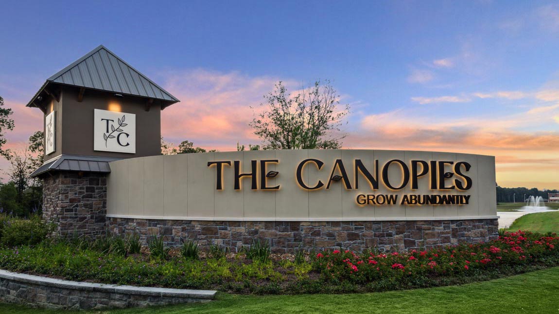 Harrington Trails at the canopies