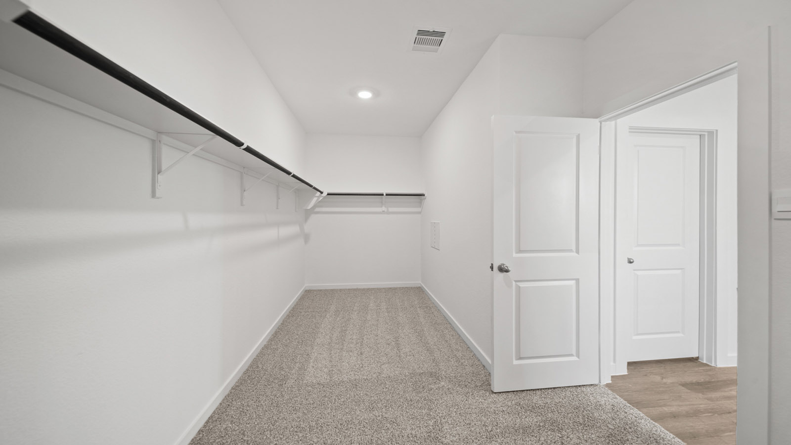 Primary walk-in closet with carpet flooring
