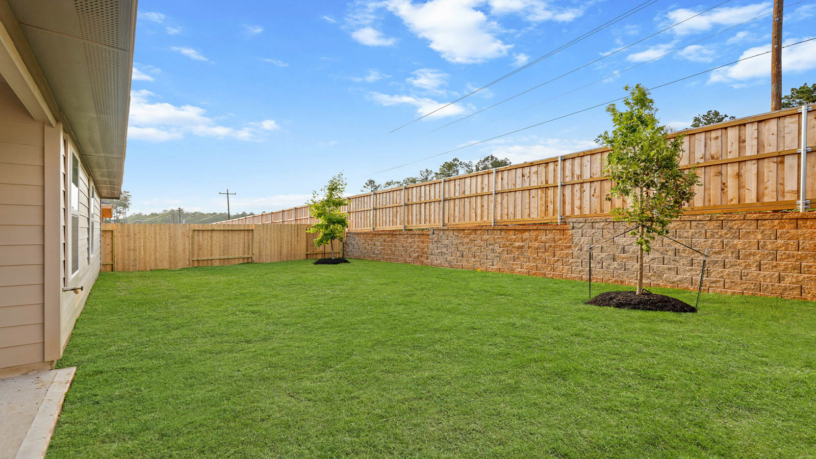 Fully Landscaped backyard