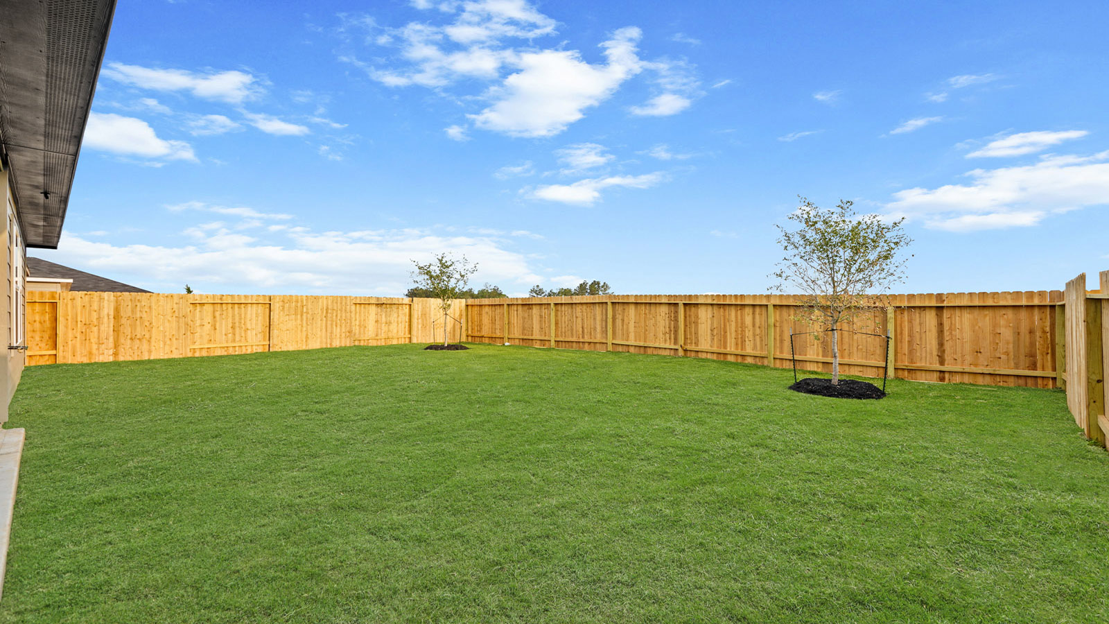Fully Landscaped backyard