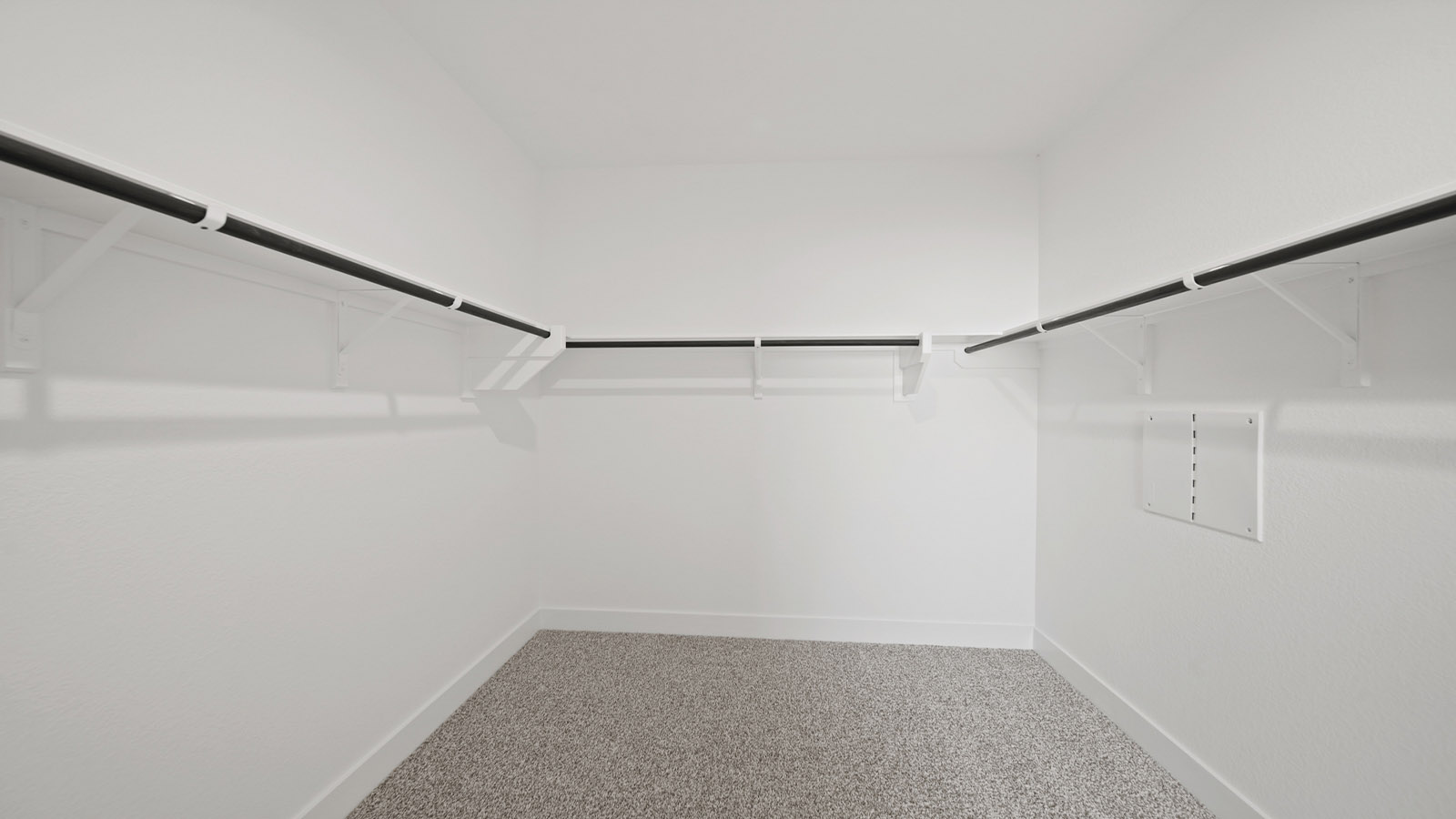 Primary walk-in closet with carpet flooring
