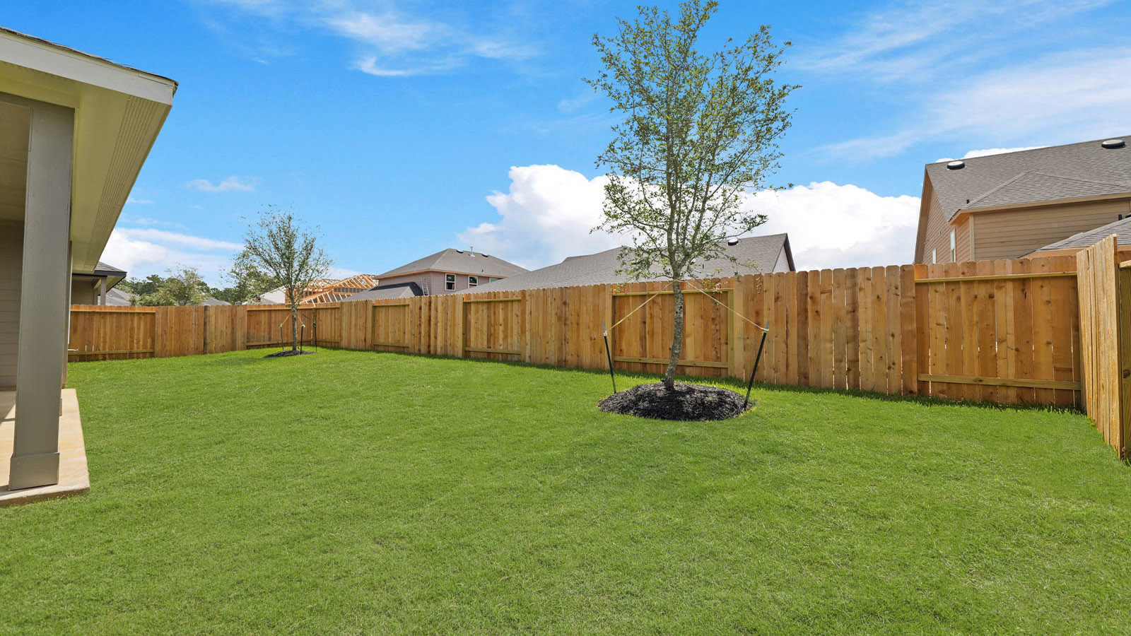 Fully Landscaped backyard