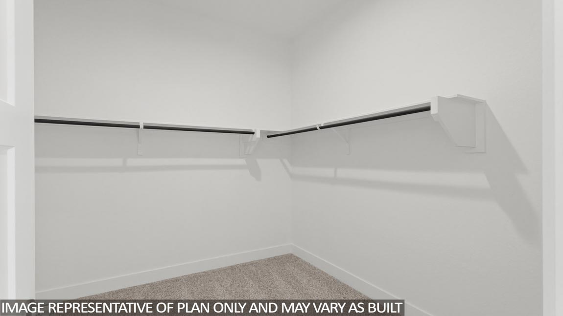 Primary walk-in closet with carpet flooring