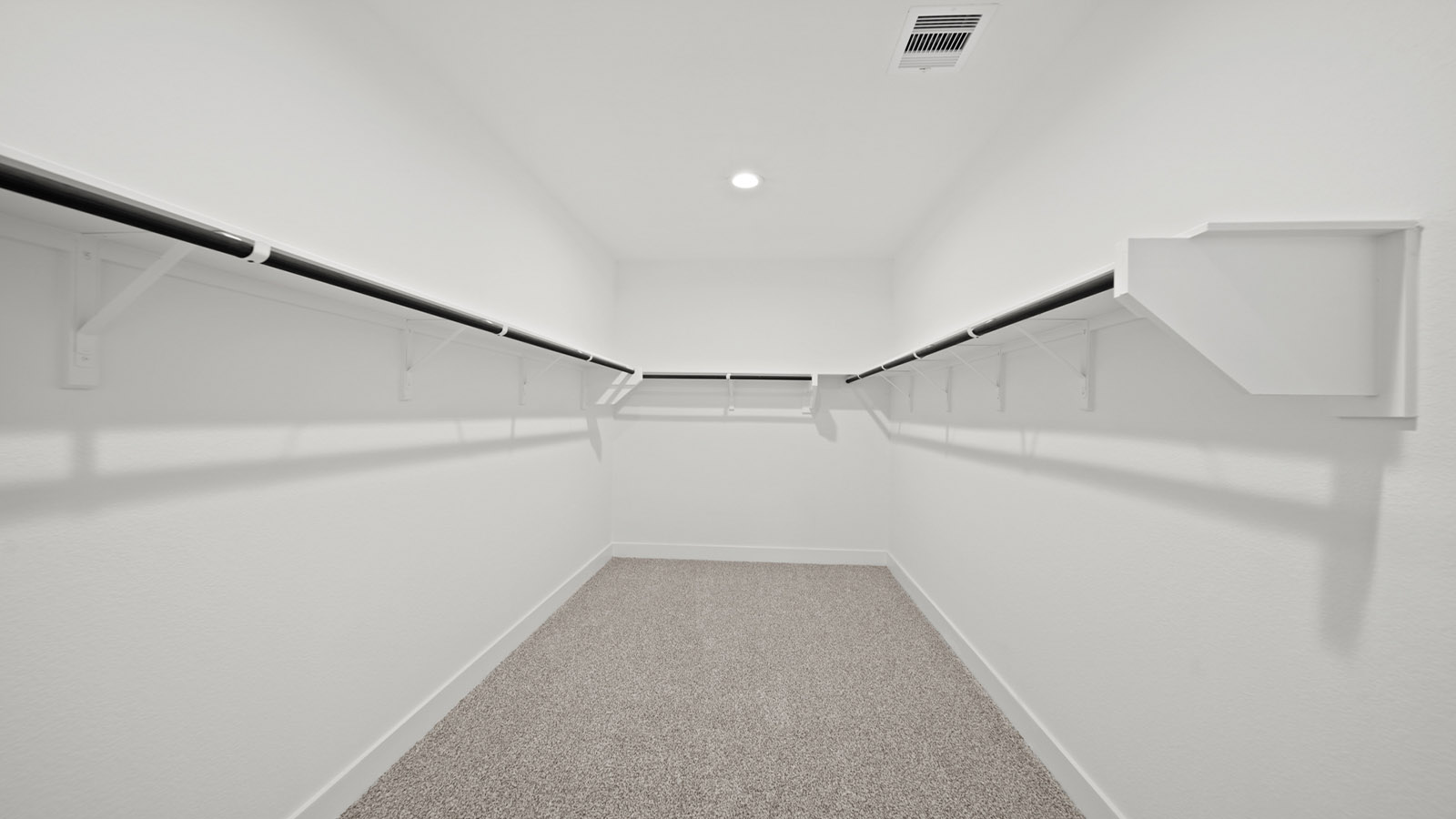 Primary walk-in closet with carpet flooring