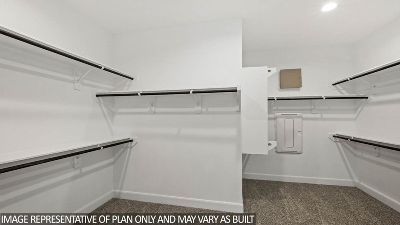 Primary walk-in closet with carpet flooring