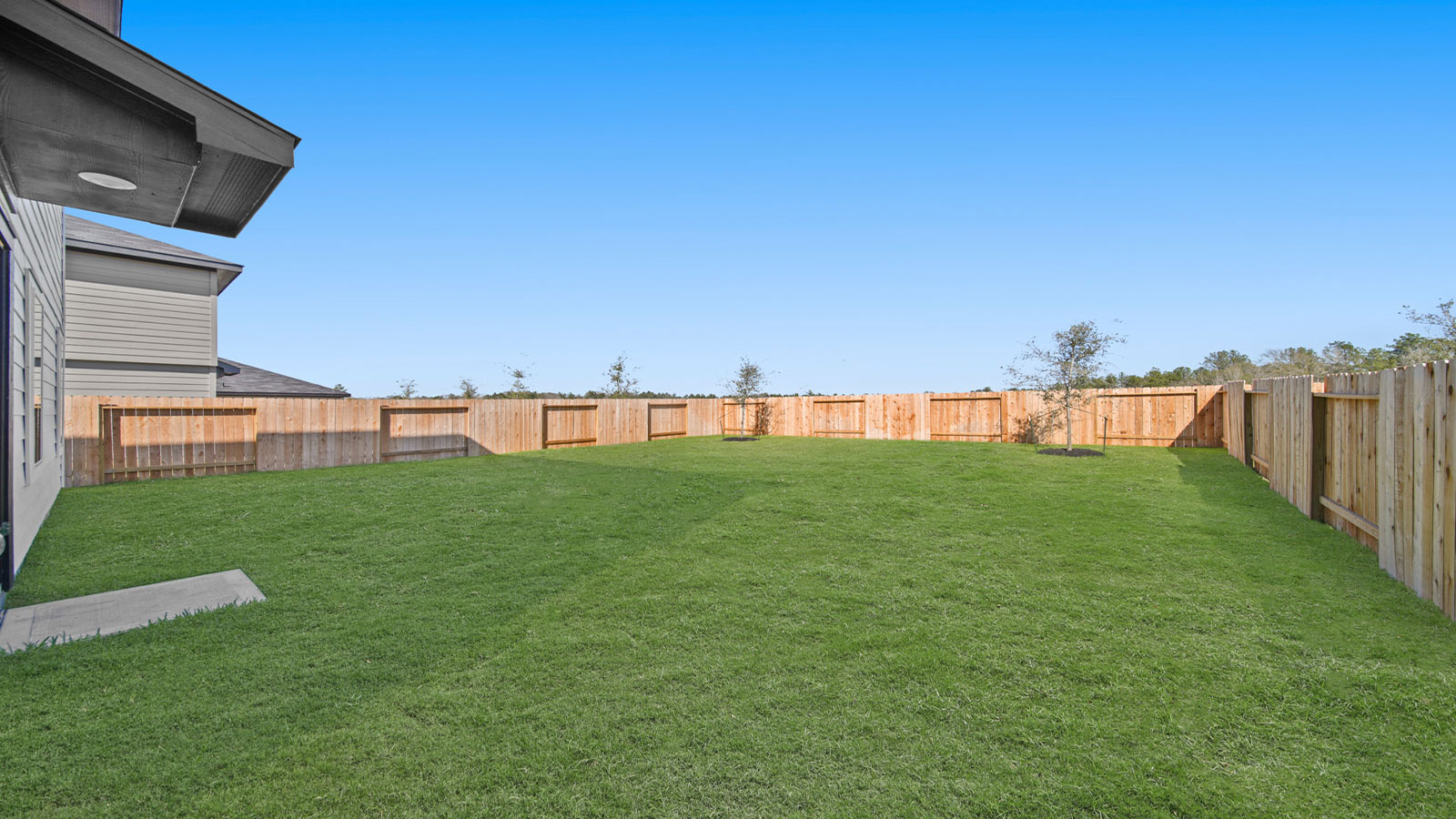 Fully Landscaped backyard