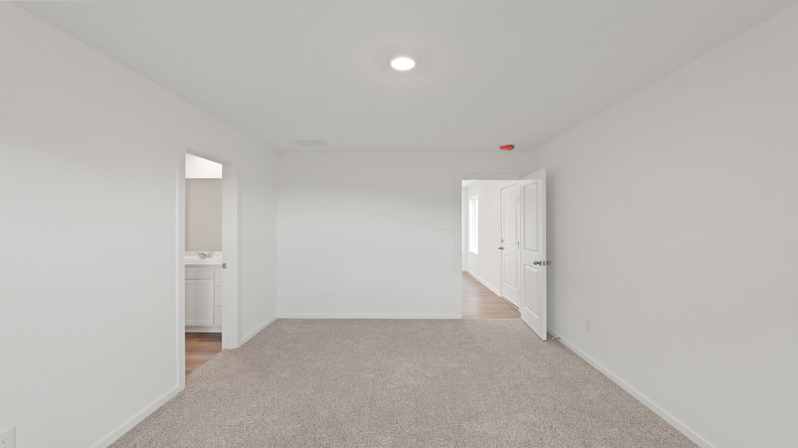 Secondary bedroom with carpet flooring and a bright window.