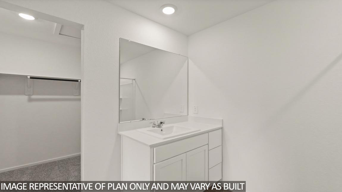 Primary bathroom with a sink and a spacious walk-in closet.