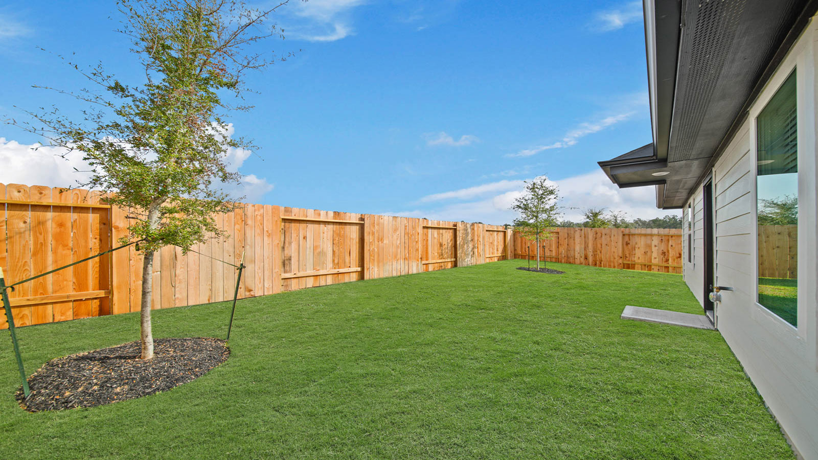 Fully Landscaped backyard