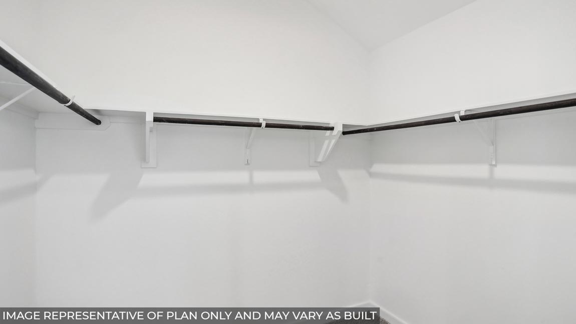 Primary walk-in closet with carpet flooring