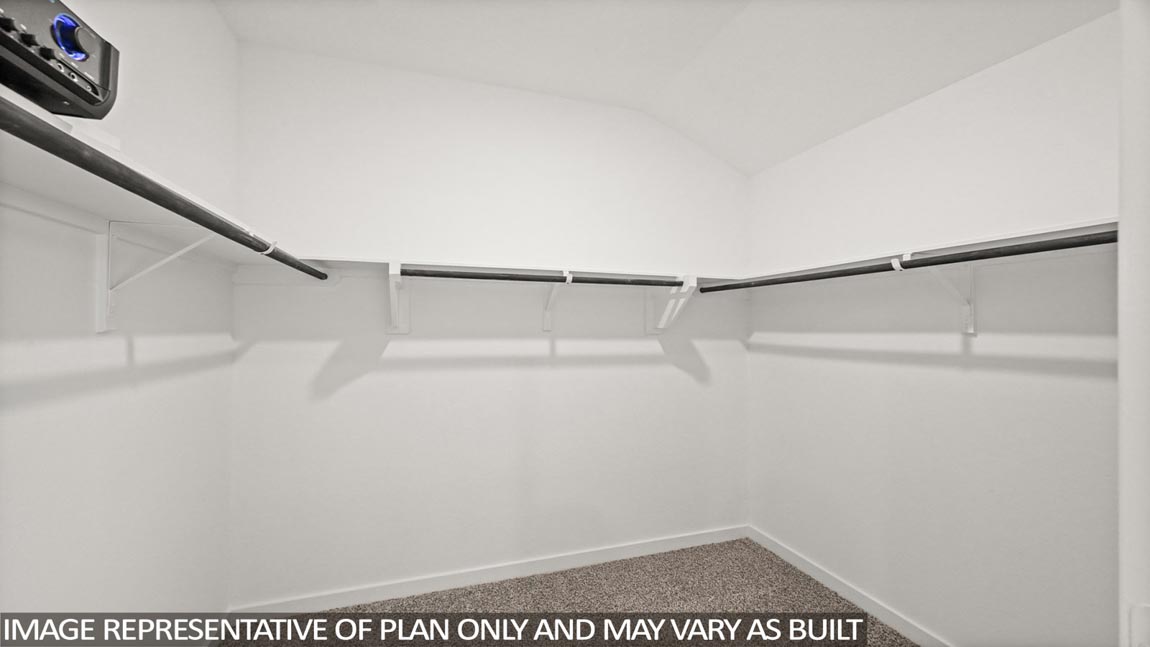 Primary walk-in closet with carpet flooring