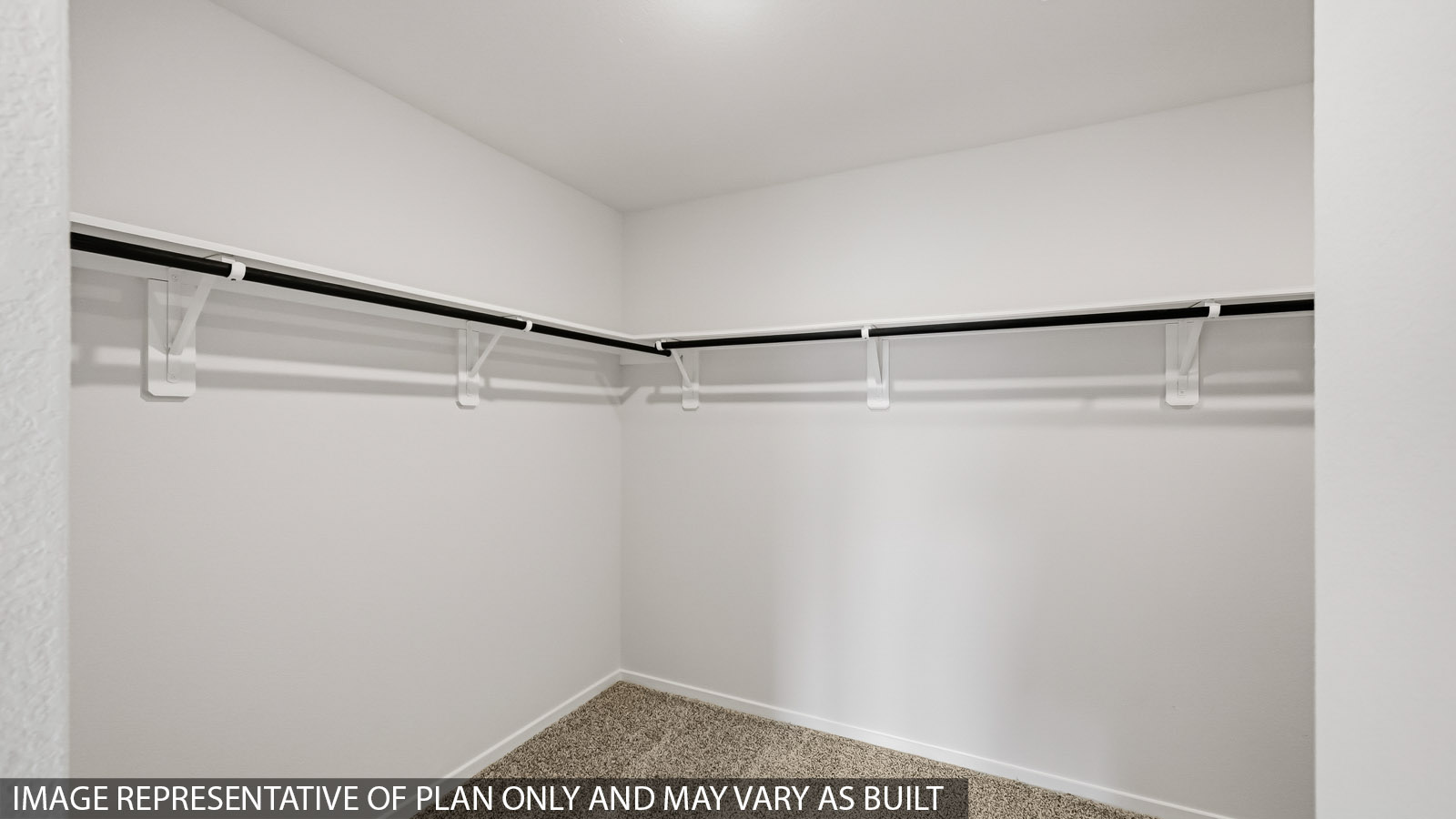 walk in closet with carpet flooring