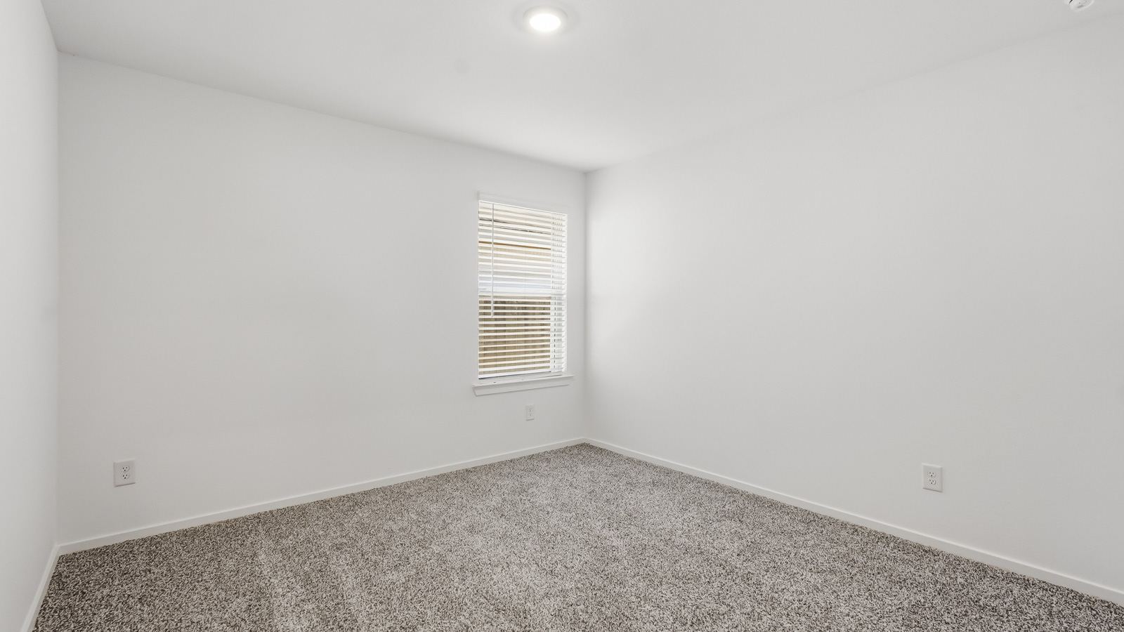 secondary bedroom with bright window