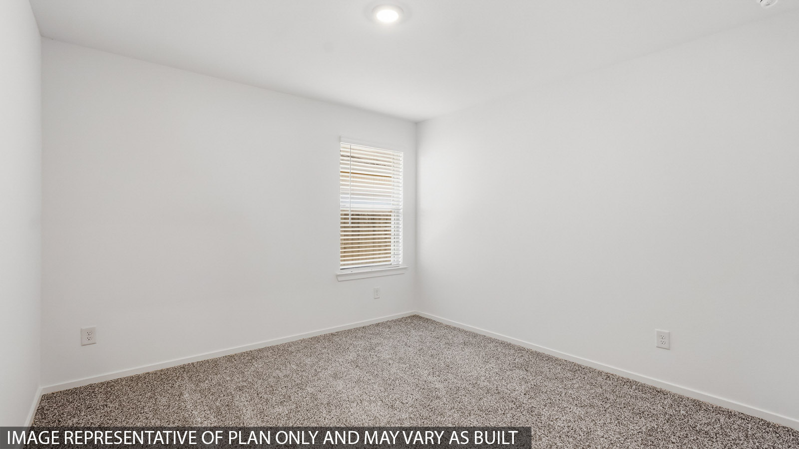 secondary bedroom with carpet flooring