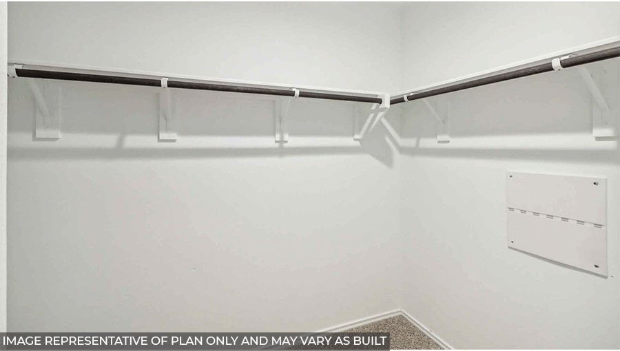 Primary walk-in closet with carpet flooring