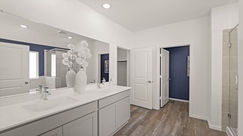 primary bathroom with vinyl flooring