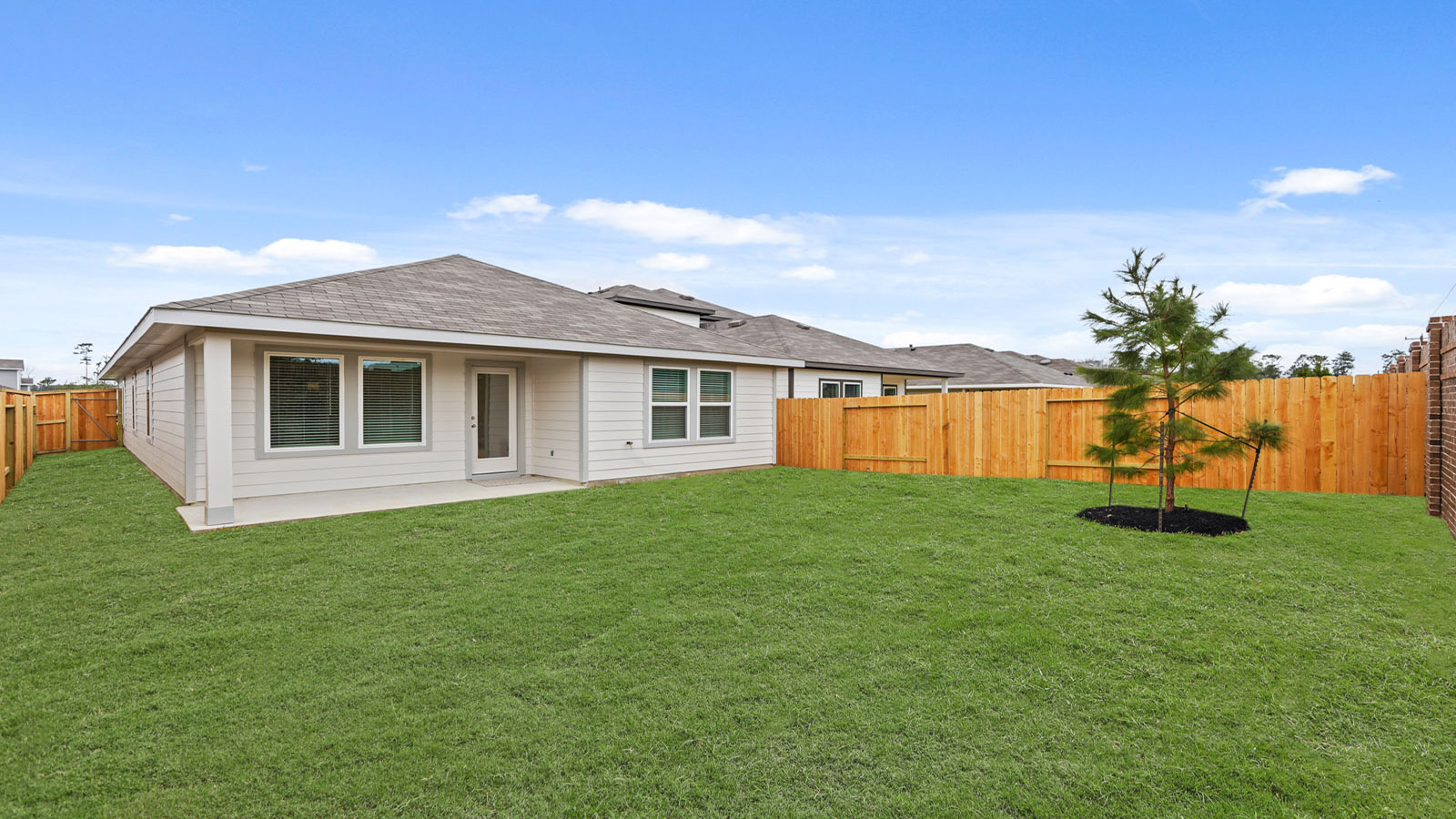 Fully Landscaped backyard