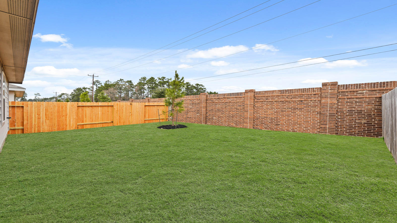 Fully Landscaped backyard
