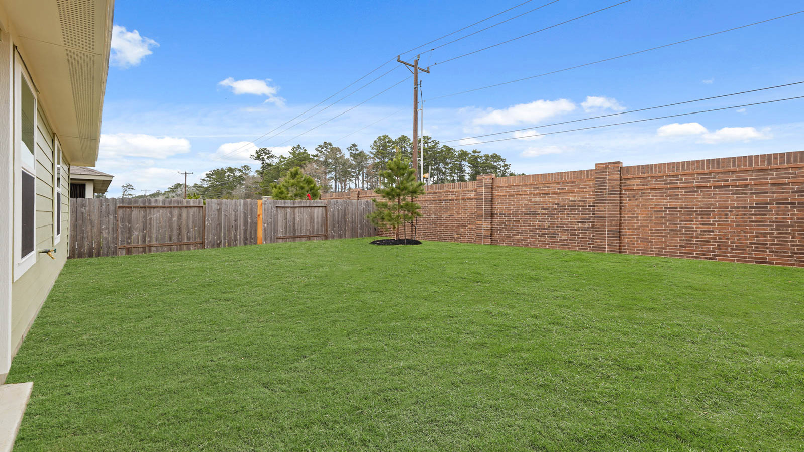 Fully Landscaped backyard