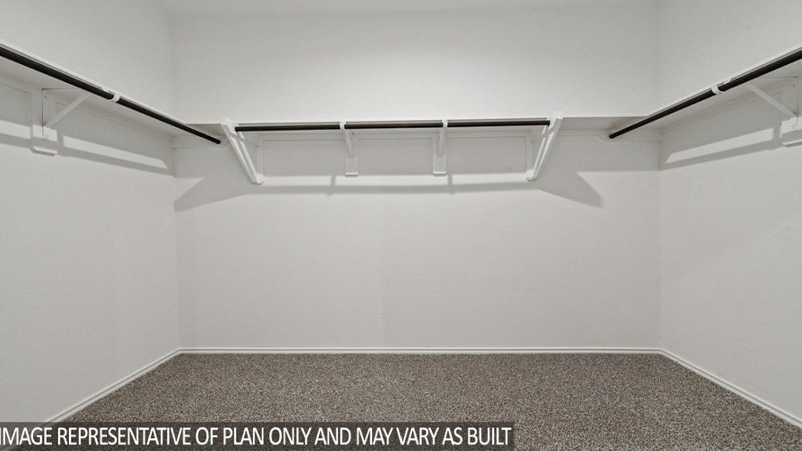 Primary walk-in closet with carpet flooring