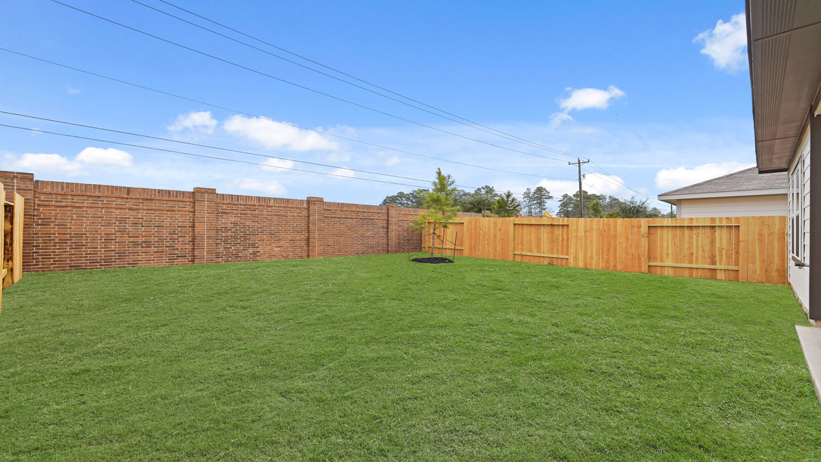 Fully Landscaped backyard