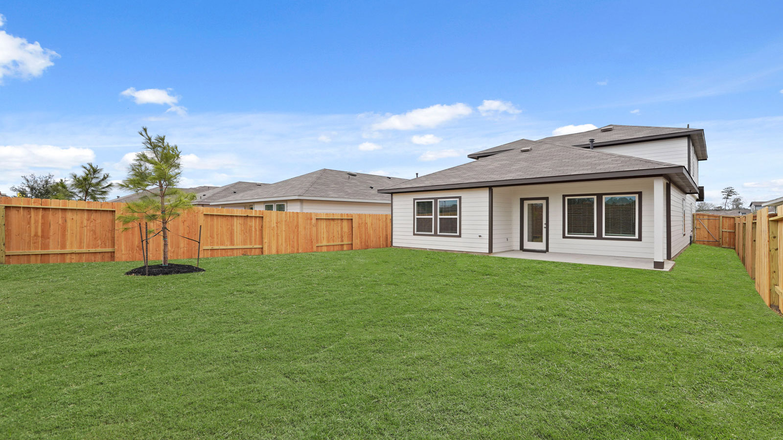 Fully Landscaped backyard