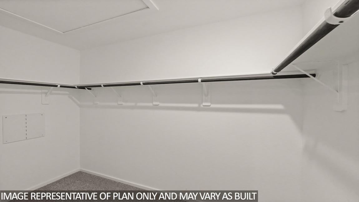 Primary walk-in closet with carpet flooring
