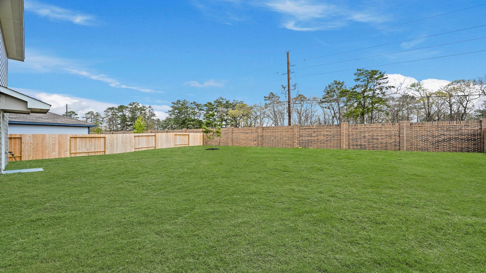 Fully Landscaped backyard