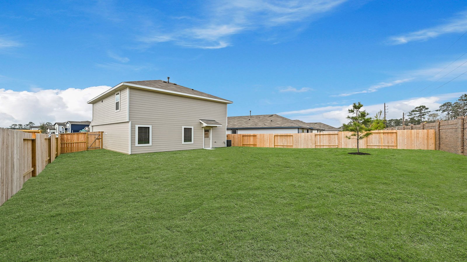 Fully Landscaped backyard