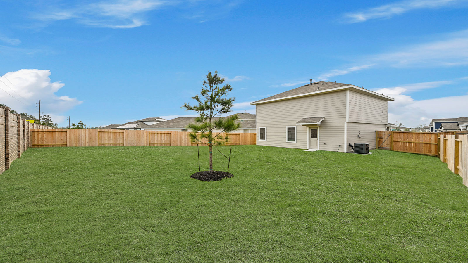 Fully Landscaped backyard