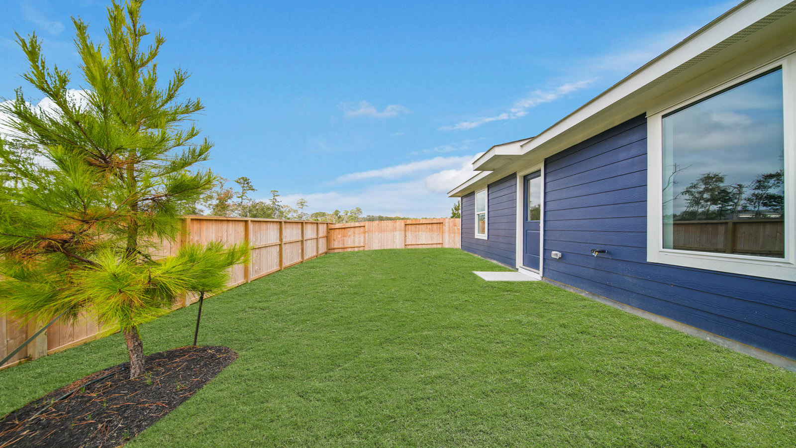 Fully Landscaped backyard