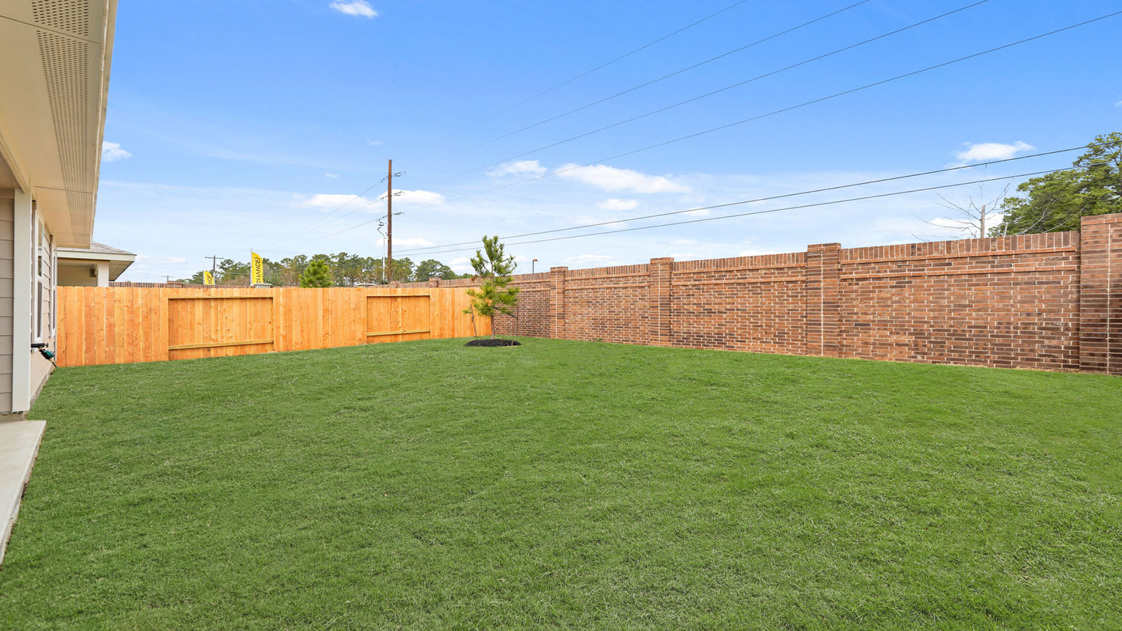 Fully Landscaped backyard
