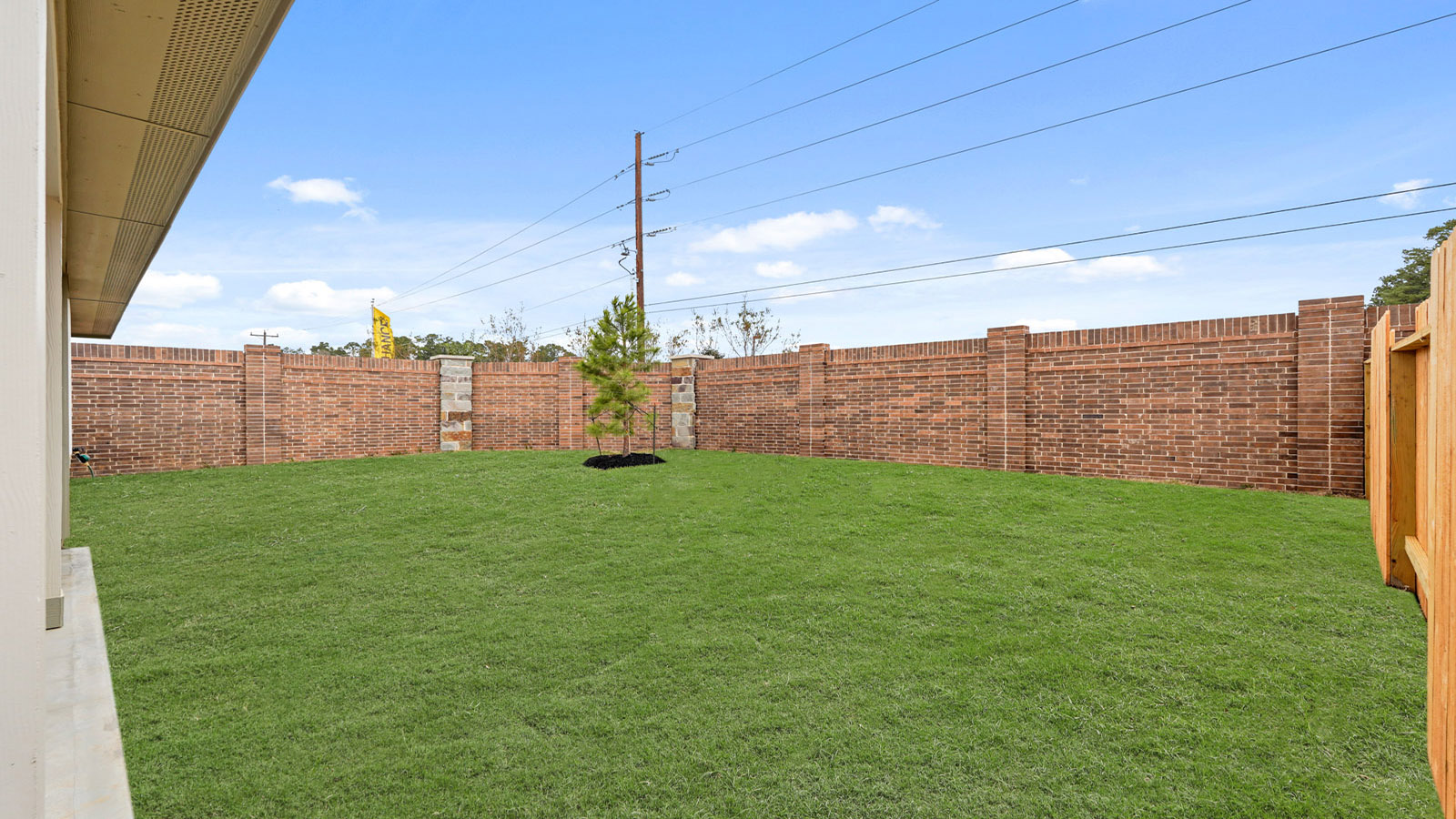 Fully Landscaped backyard