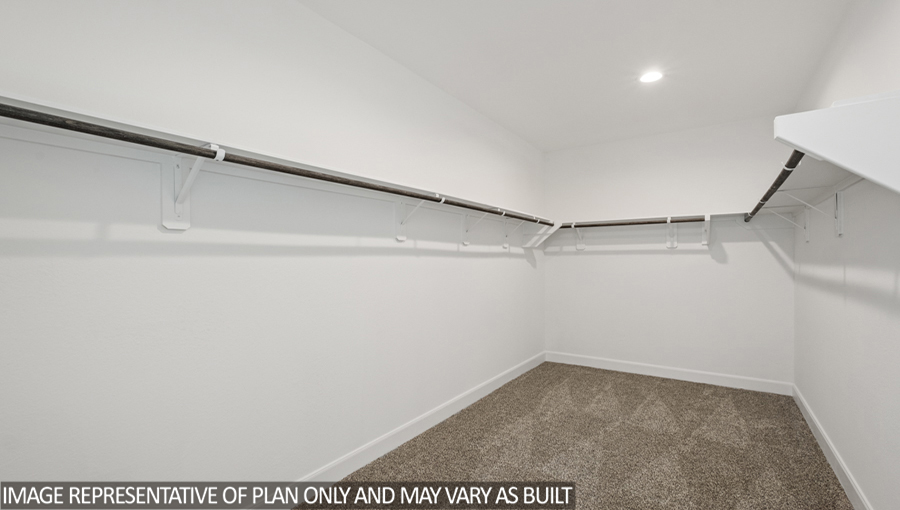 Primary bedroom walk-in closet with carpet flooring and overhead storage space.