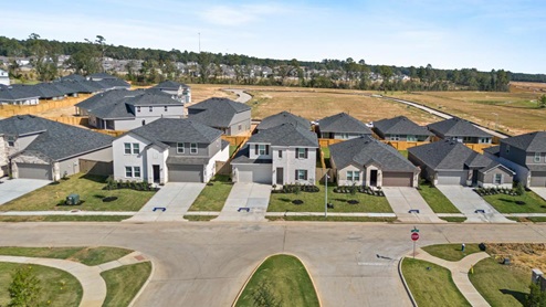 Homes in The Canopies