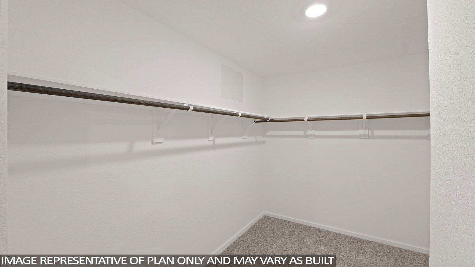 Primary walk-in closet with carpet flooring
