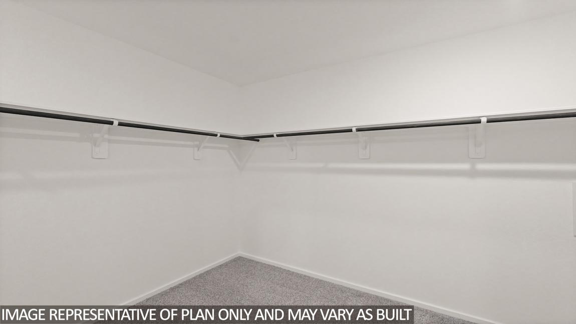 Primary walk-in closet with carpet flooring