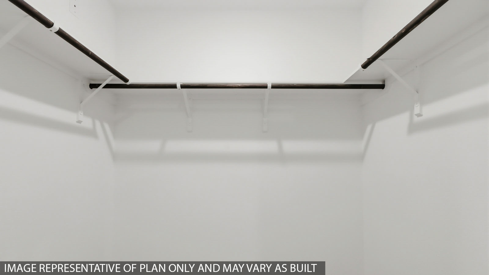 Primary walk-in closet with carpet flooring