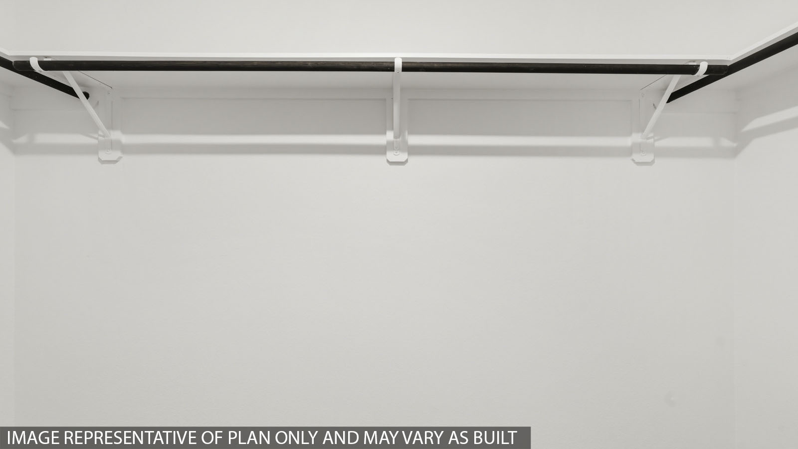 Primary walk-in closet with carpet flooring